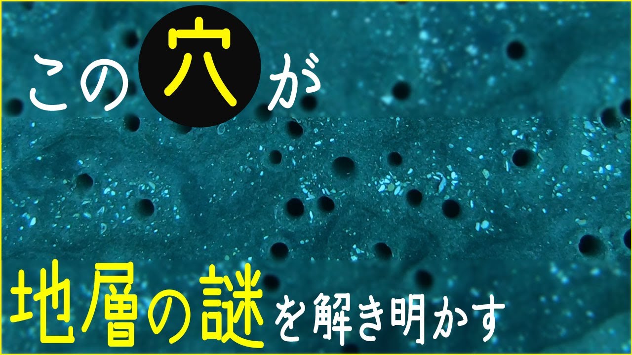 image-地球の歴史をひもとく鍵～海底を埋めつくす巣穴たち～
