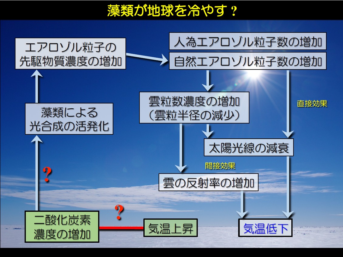 image-海の藻類が地球を冷やす！?