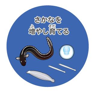 image-さかなを増やし育てる