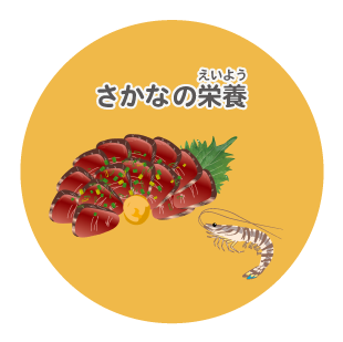 image-さかなの栄養