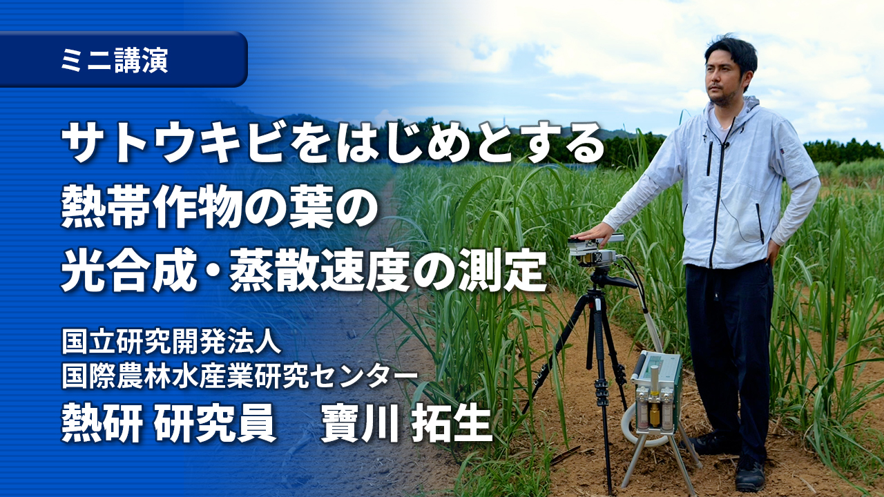 image-サトウキビをはじめとする熱帯作物の葉の光合成・蒸散速度の測定