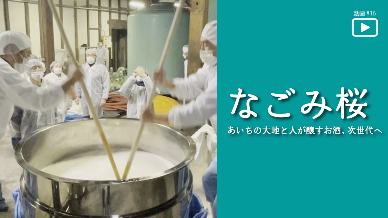 image-名古屋大学研究フロントライン「「なごみ桜」あいちの大地と人が醸すお酒、次世代へ」