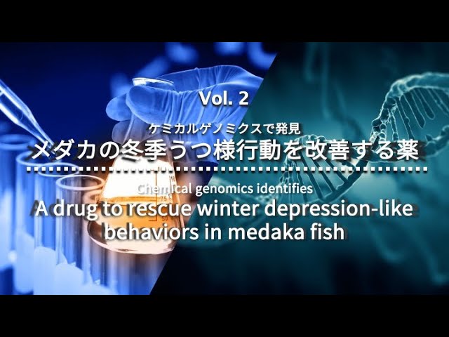 image-名古屋大学研究フロントライン「メダカの冬季うつ様行動を改善する薬」