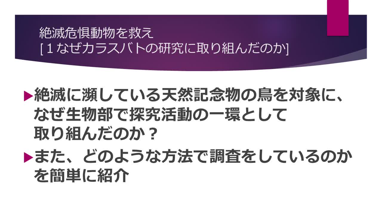 Image-1・なぜカラスバトの研究に取り組んだのか