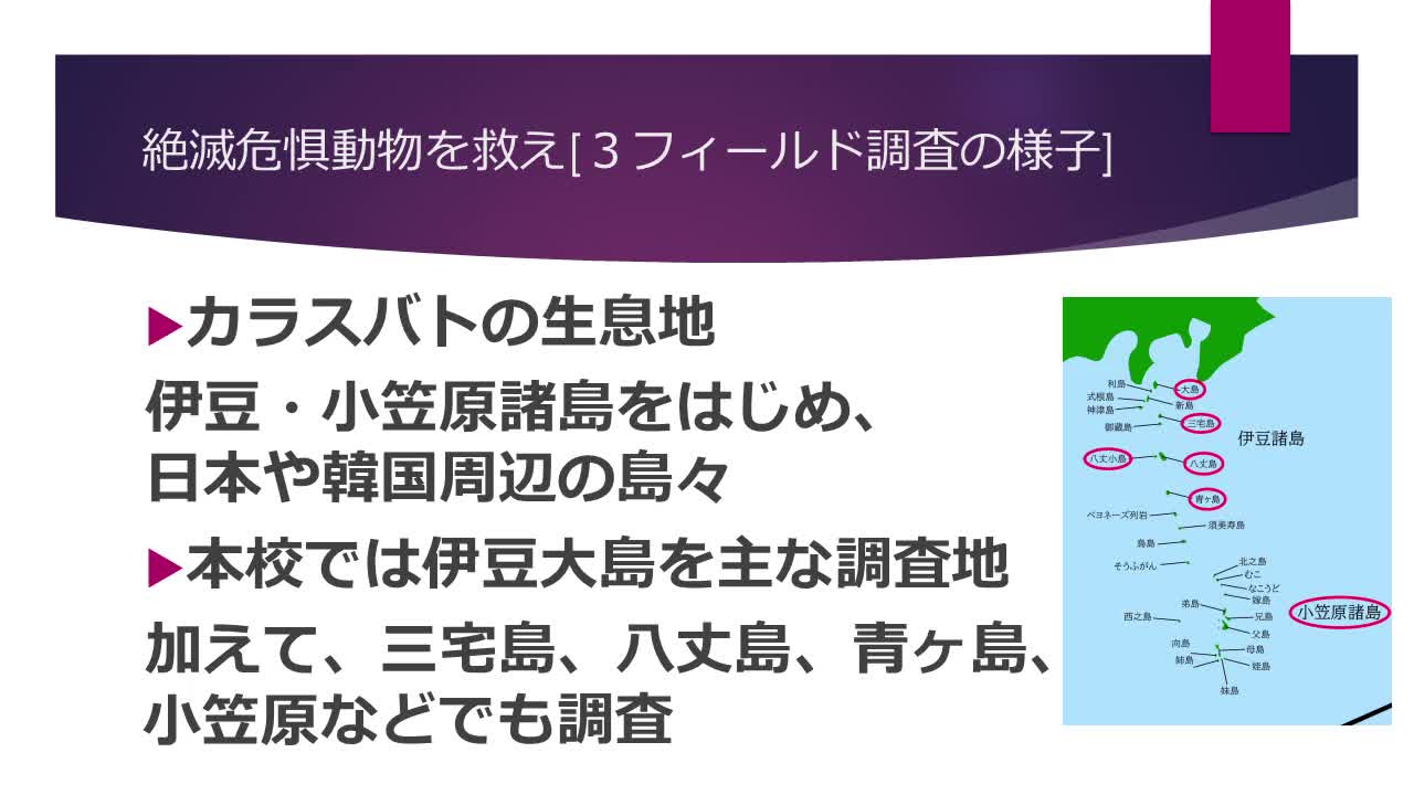 Image-3・フィールド調査の様子