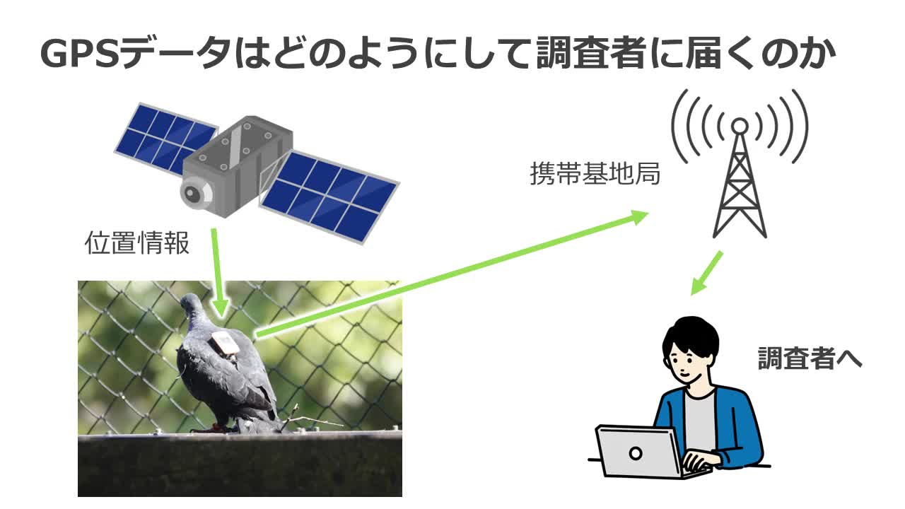 Image-5・GPS情報の解析