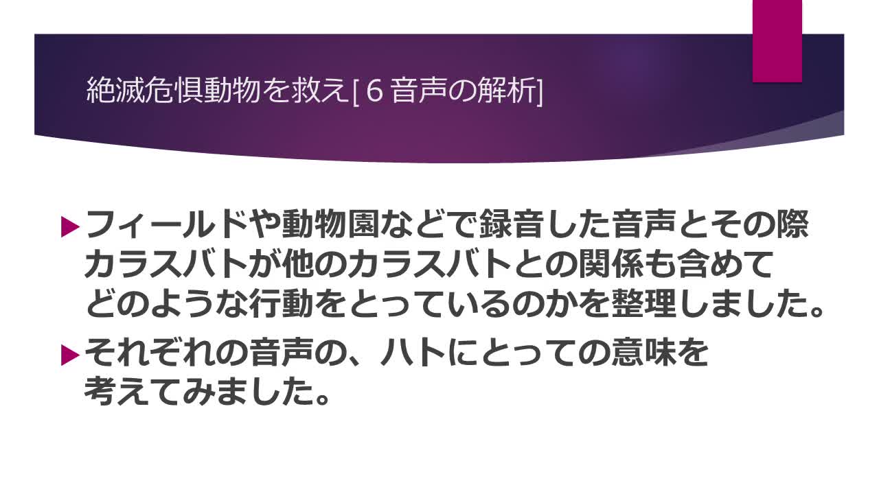 Image-6・音声の分析