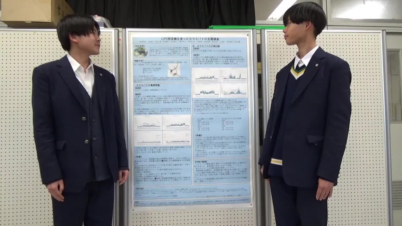 Image-7・GPS発信機を使ったカラスバトの調査