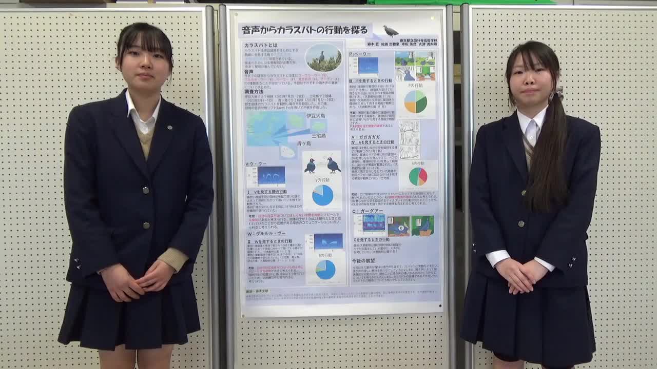 Image-8・音声からカラスバトの行動を探る